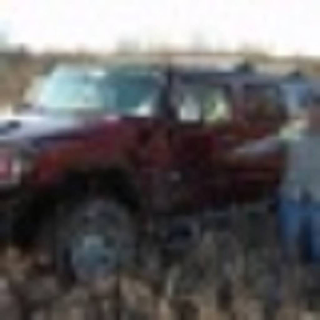 Thomas Trivisani's profile image