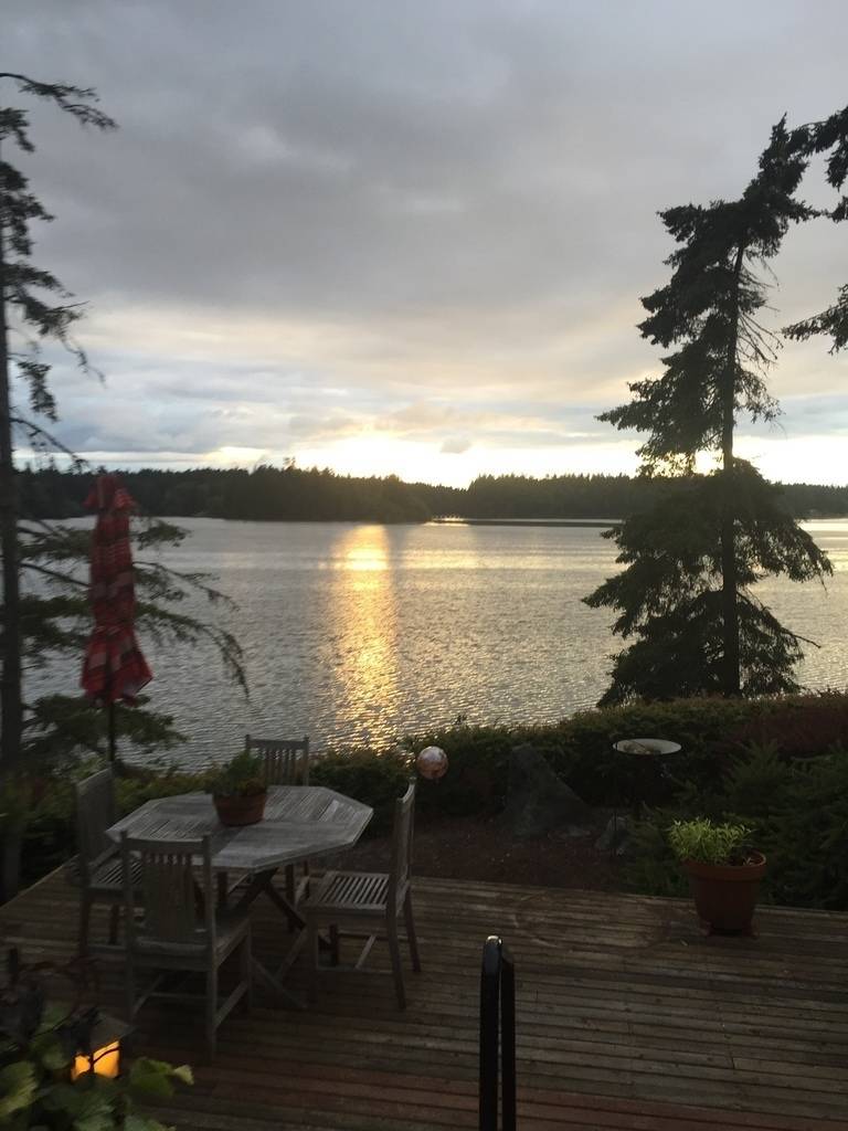 Chris Scott's profile image