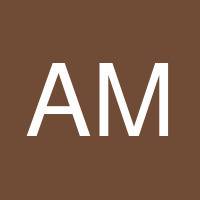 Aleem Merani's profile image
