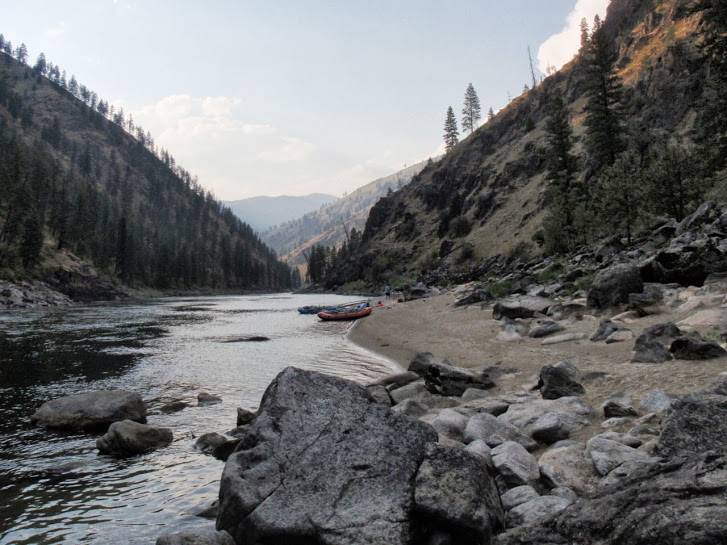 Adrianne G.'s profile image