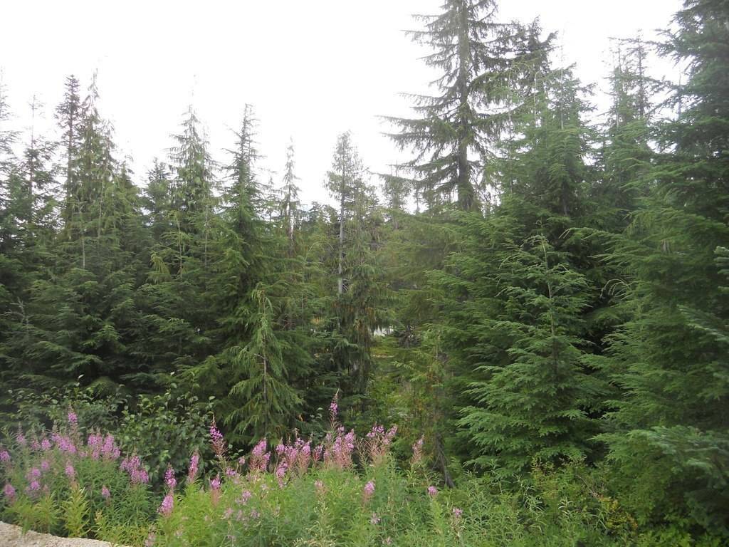 Margaret Salerno's profile image