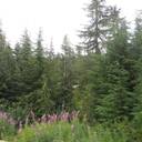 Margaret Salerno's profile image