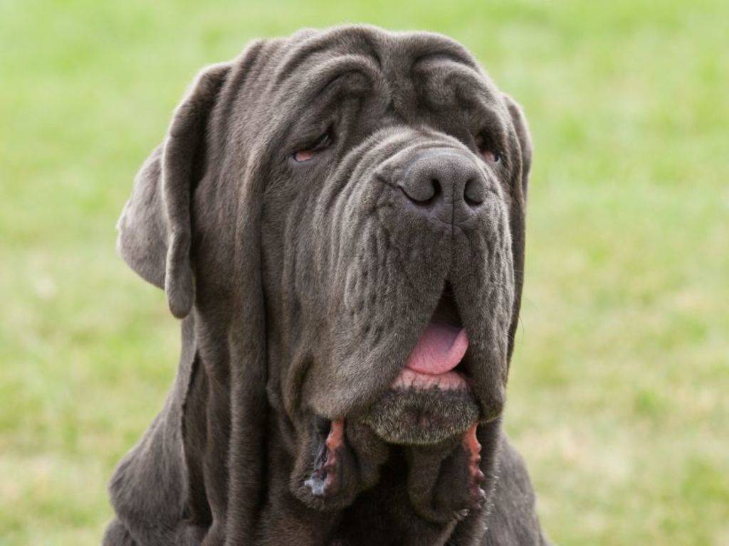 Viktor Belalov's profile image