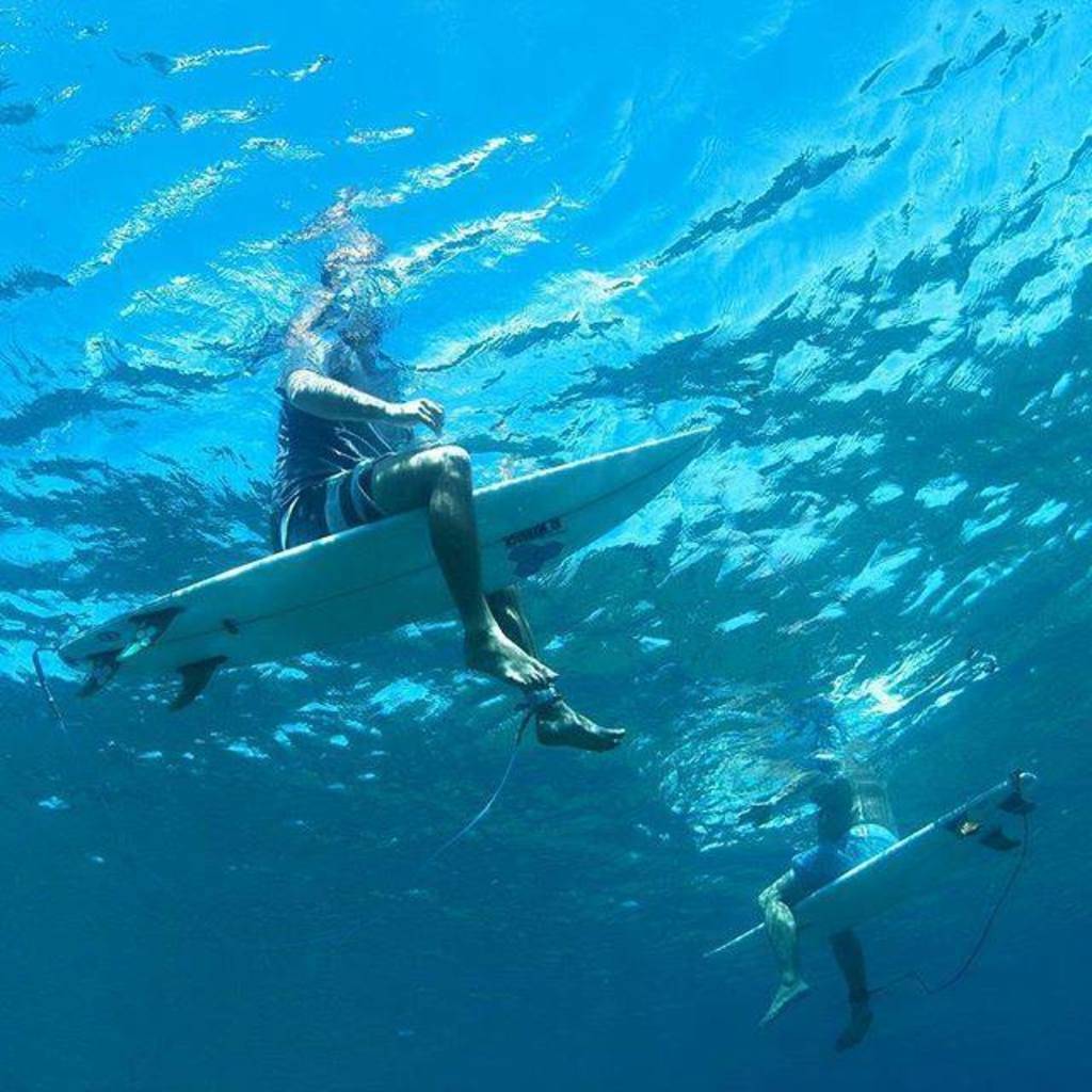 Bridge H.'s profile image