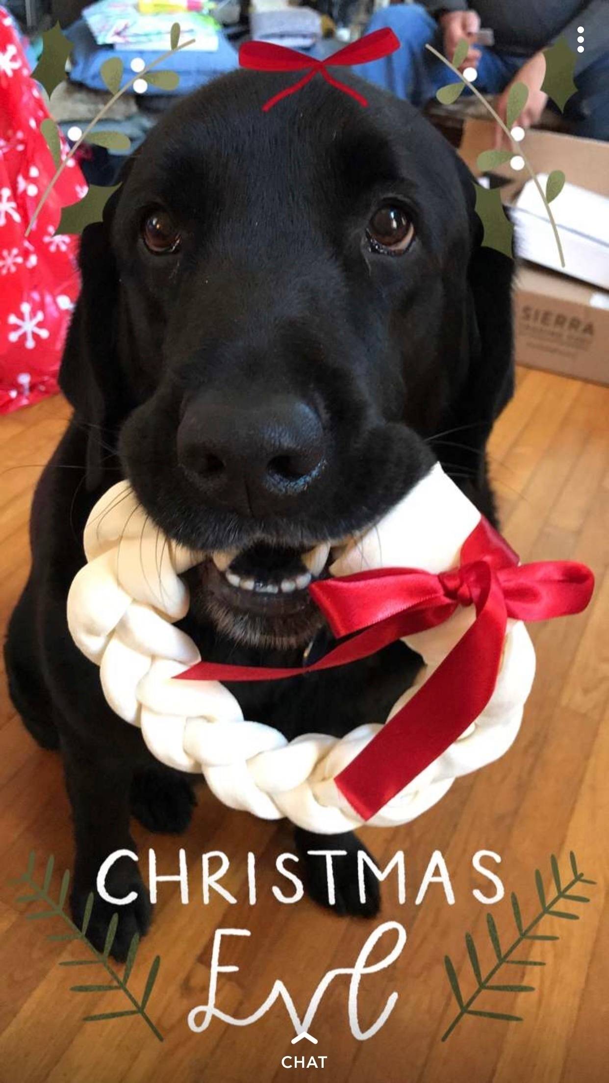 Colby Osborne's profile image