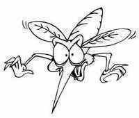 Martin B.'s profile image