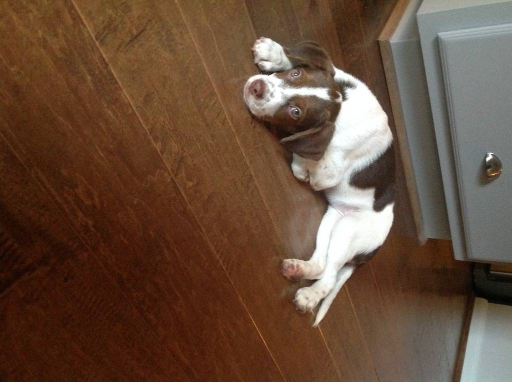 Linda Molnar's profile image