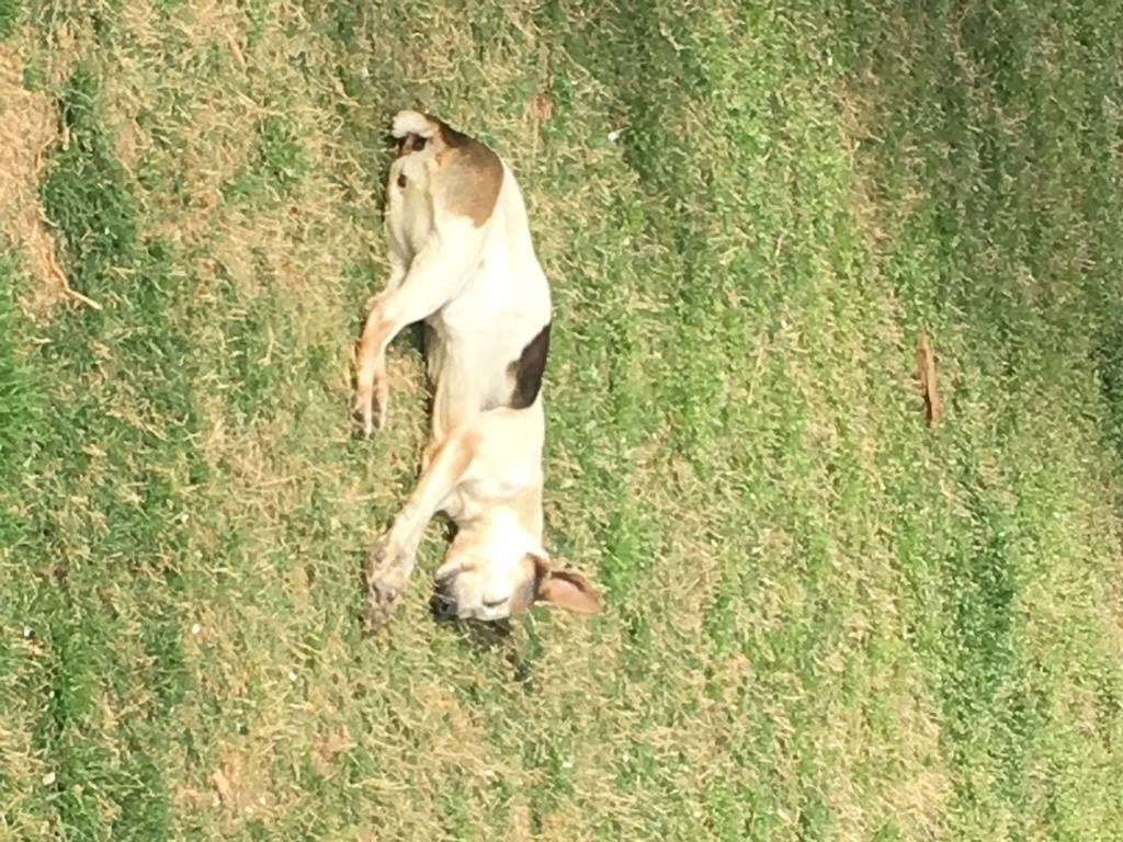 Tiffany Martin's profile image