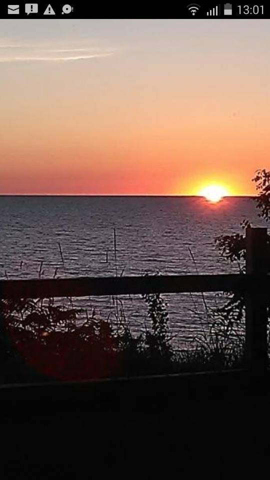 Marc Bennett's profile image