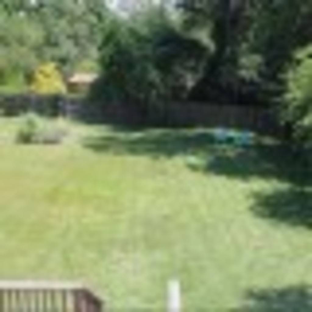 Daniel Ritterman's profile image