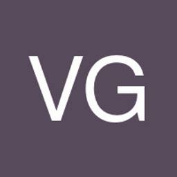 V G.'s profile image