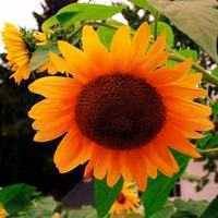 Pam Jagielo's profile image