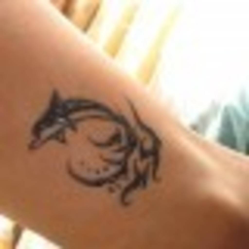 Romina Mislang's profile image