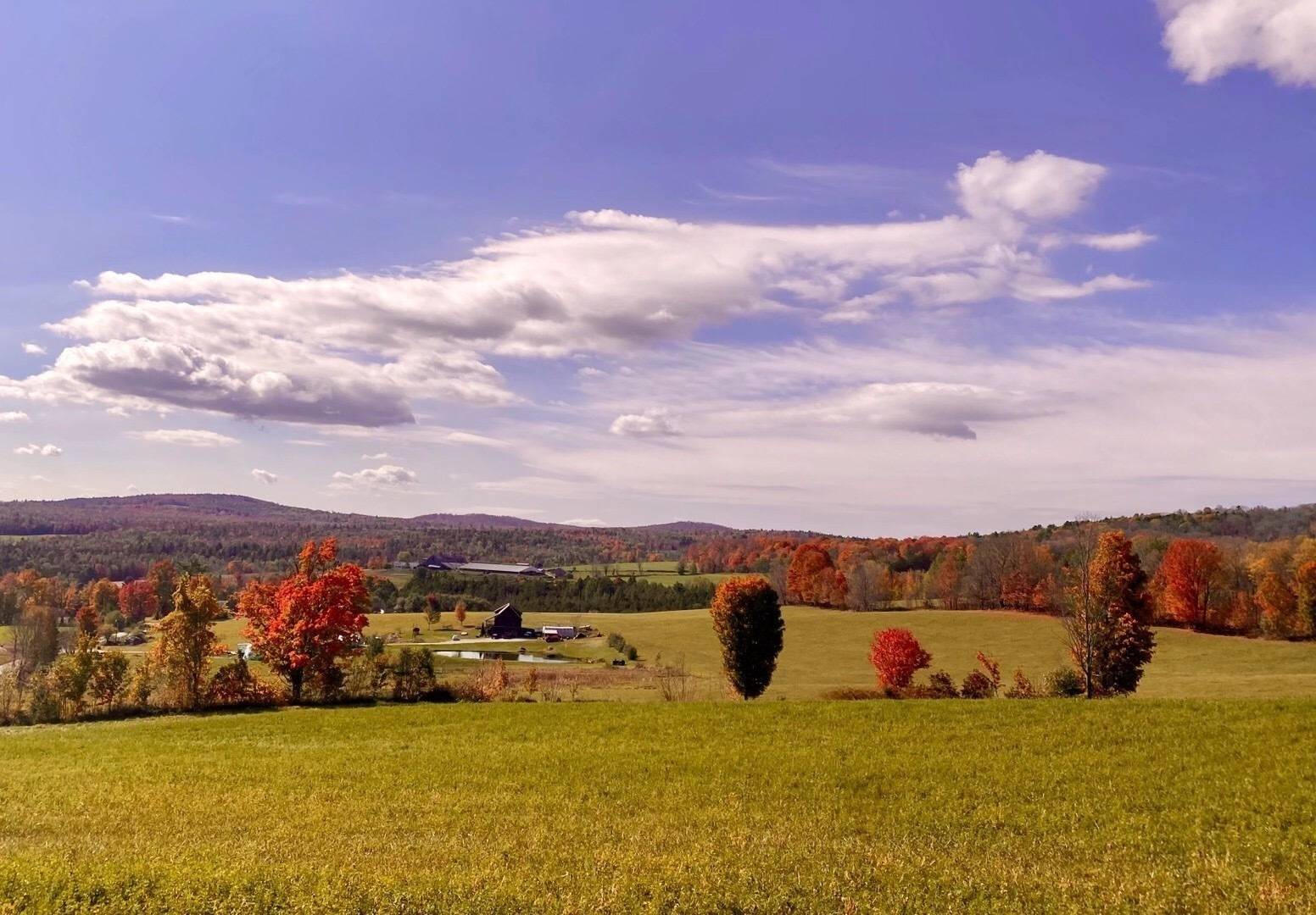 Frank Y.'s profile image