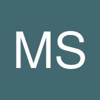 Michael Slot's profile image