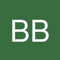 Bruno Boudjemai's profile image