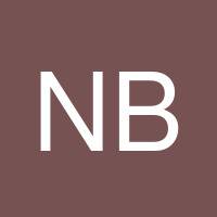 Nathan Bisson's profile image