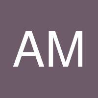 Ayrton Mendoza's profile image