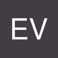 Estausa Visa's profile image