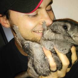 Michael Niemeier's profile image