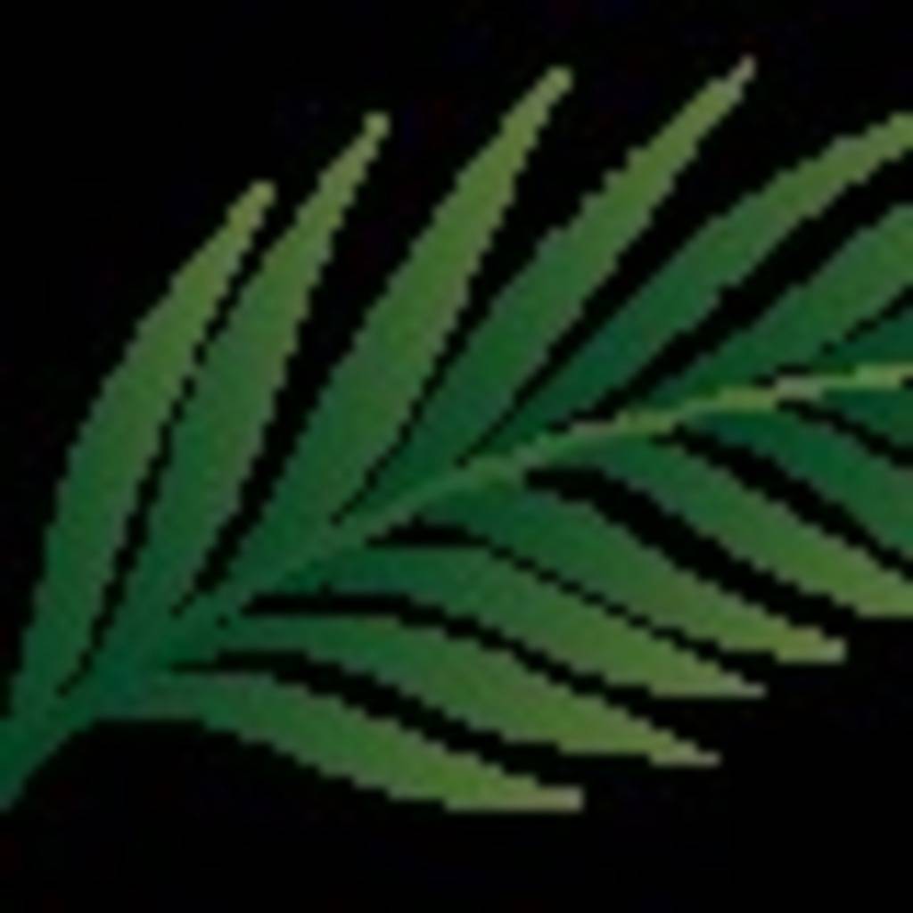 Logan Palmer's profile image