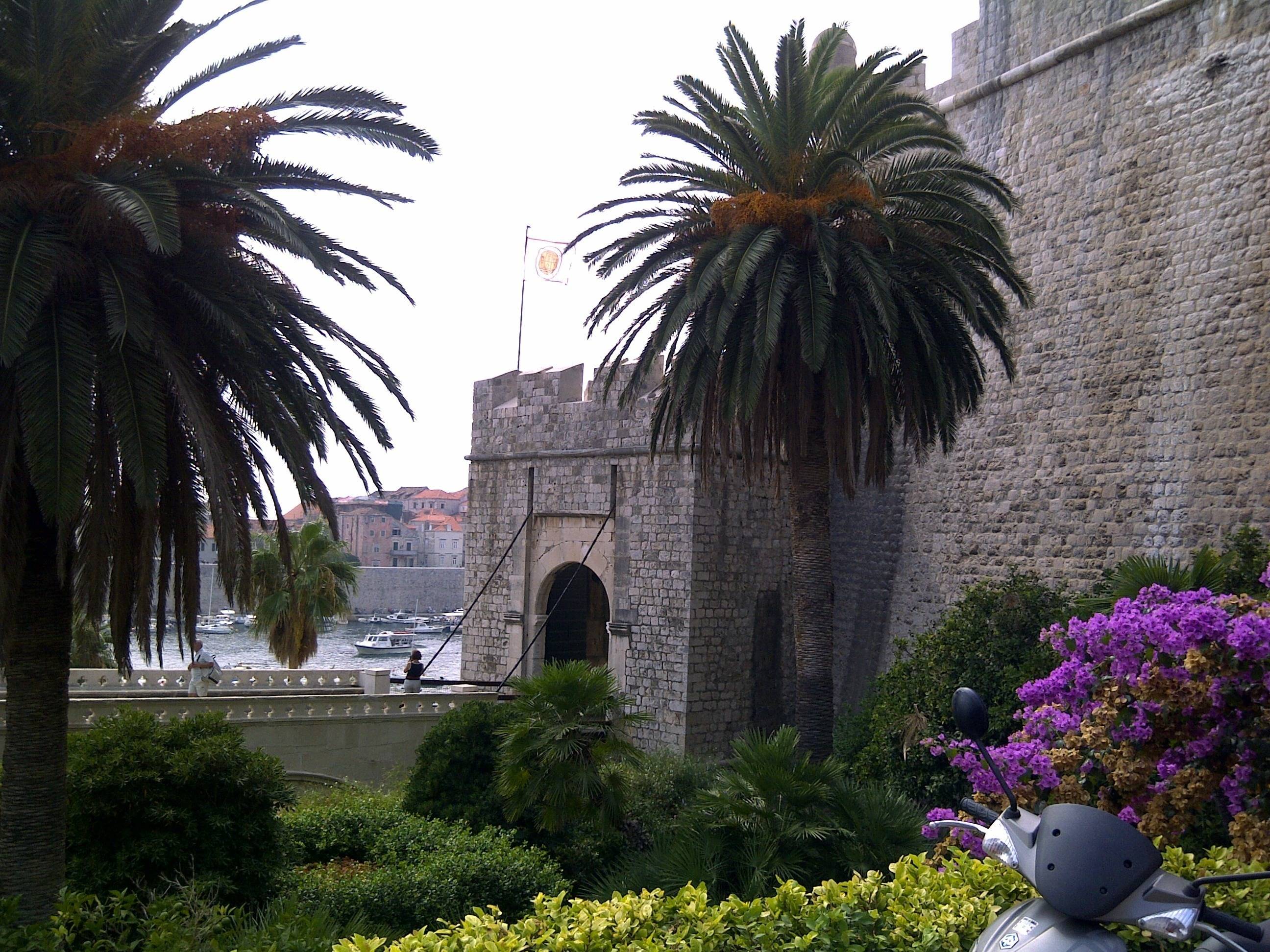 Joy D.'s profile image