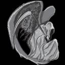 Randall Degges's profile image