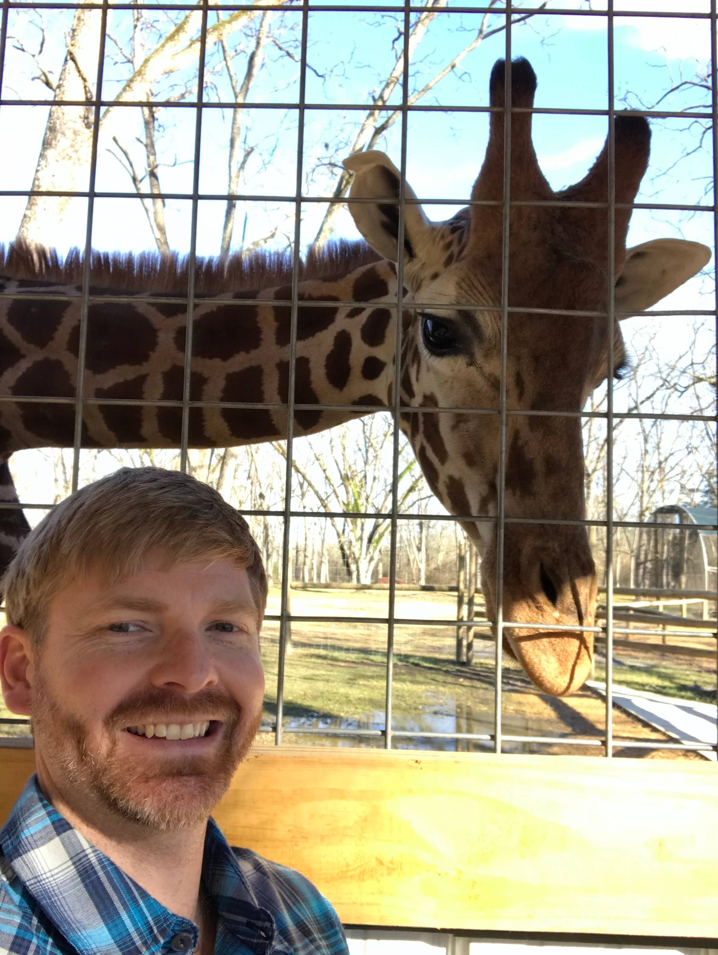 Tal Simpson's profile image