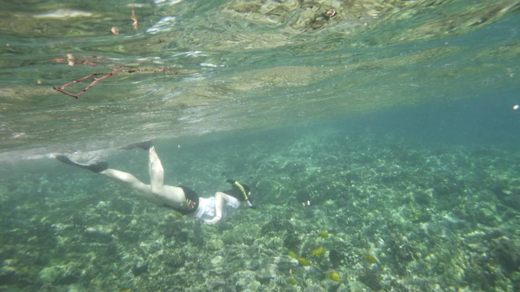 Frances Yaping Wang's profile image