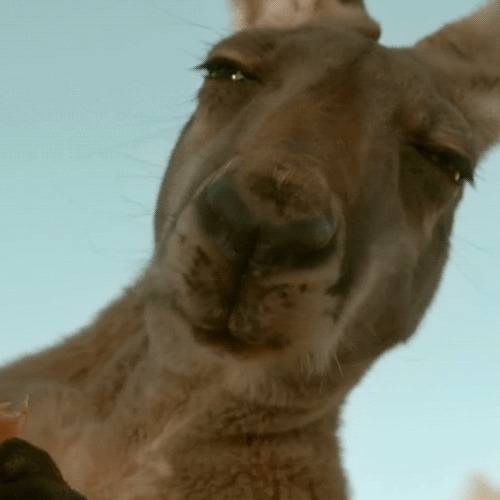 Mike Rice's profile image