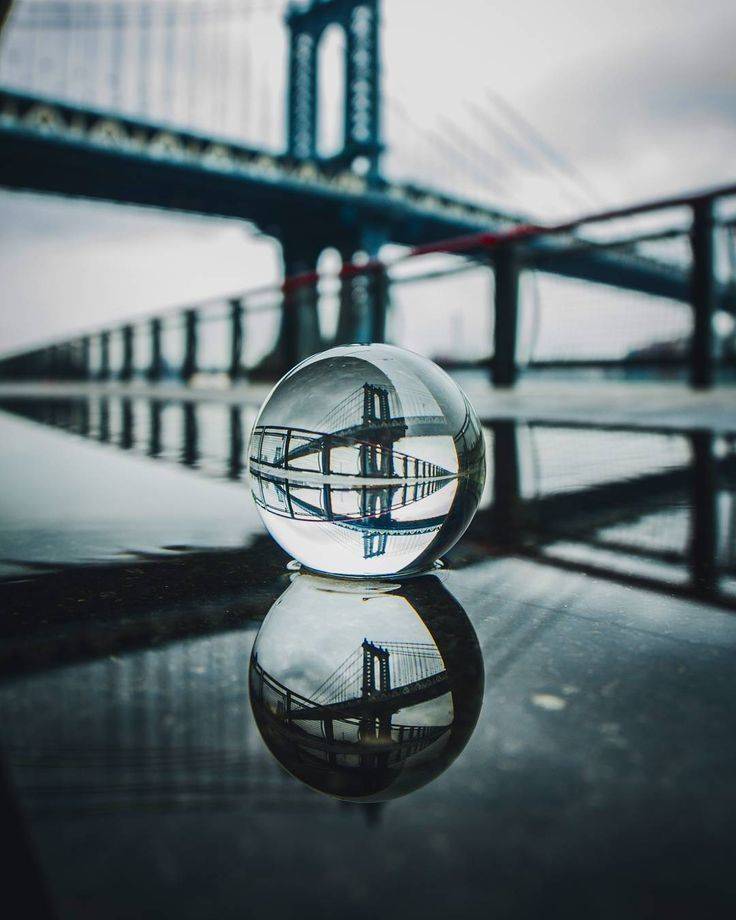 Jamiel Jackson's profile image