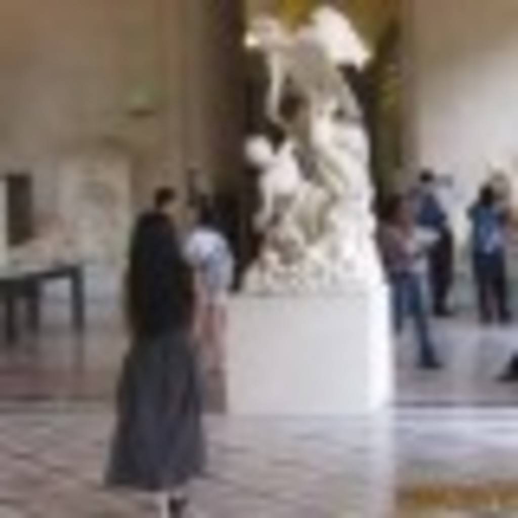 Donna Wang's profile image