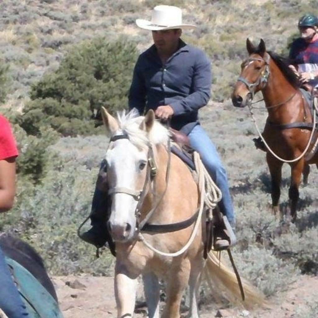 Jose Martinez's profile image