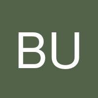 Brian Ulrich's profile image