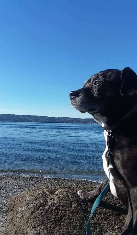 Mary N.'s profile image