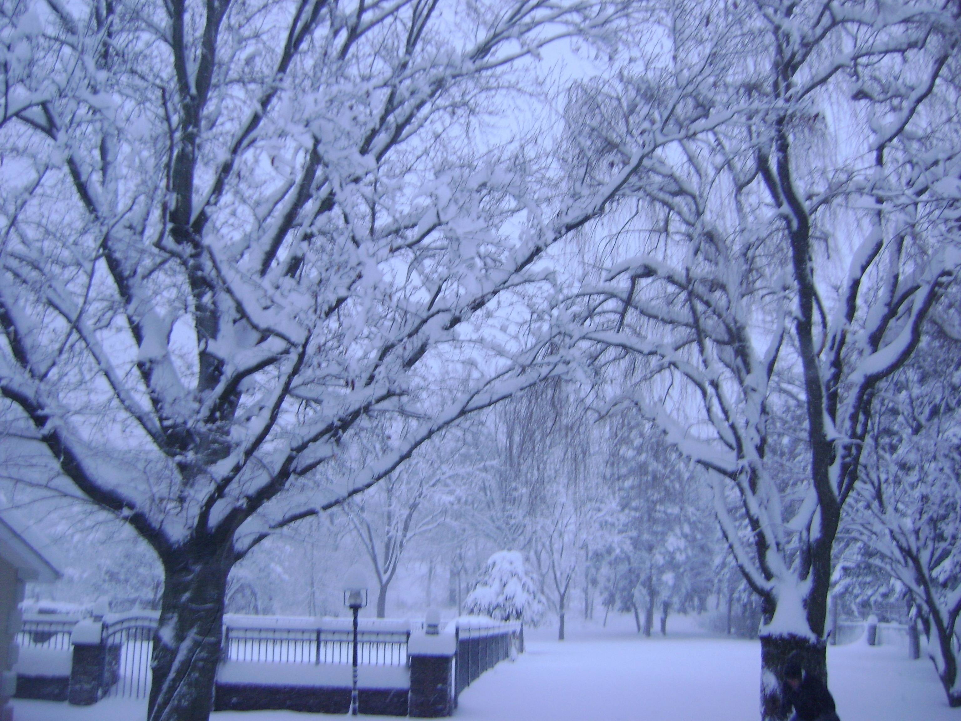 Manuel Pimentel's profile image